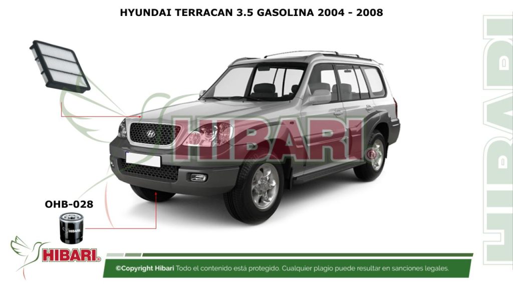 HYUNDAI TERRACAN 3.5 GASOLINA 2004 – 2008